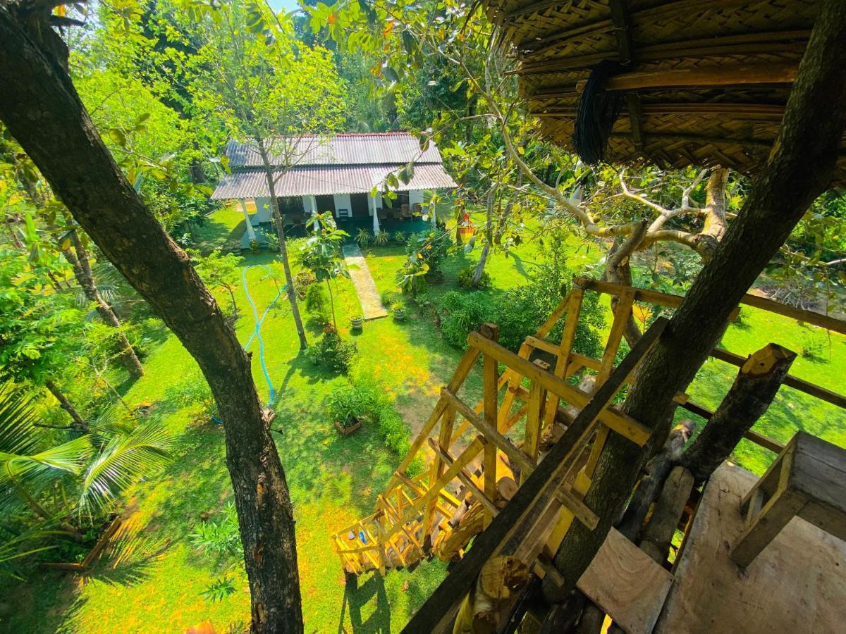 Lucky Villa Sigirija Zewnętrze zdjęcie